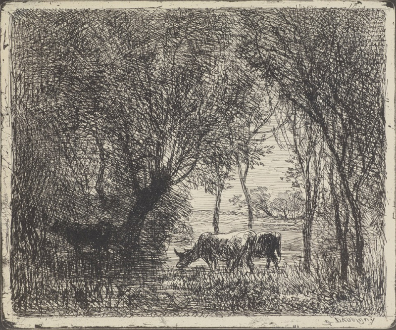 Cows in woods (1862) reproduction of painting by Charles François Daubigny. ALL GICLEE PRINTS