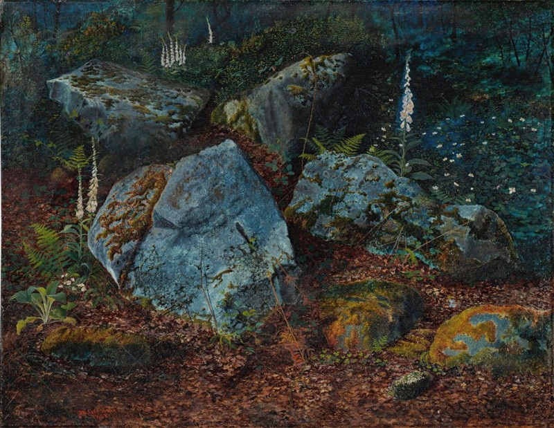 John Atkinson Grimshaw reprodukcija Boulders In Storsforth Wood (1863), VISOS REPRODUKCIJOS , paveikslai, reprodukcijos inter...