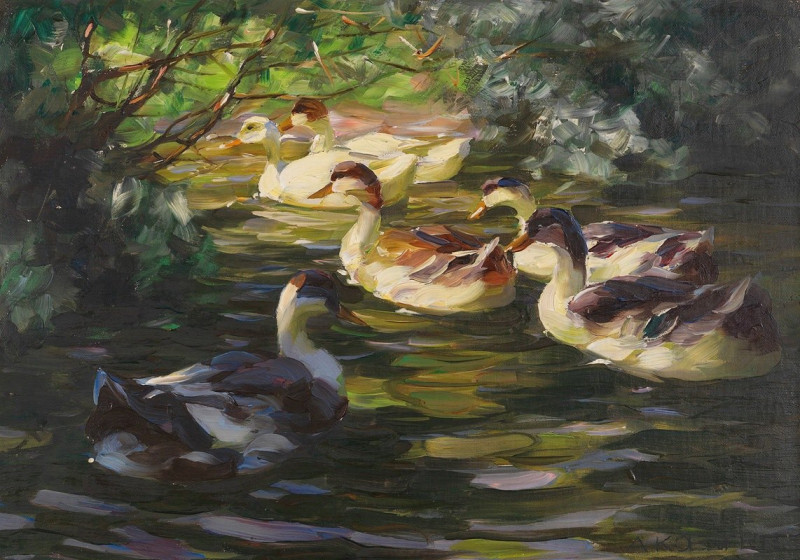 Sechs Enten auf dem Wasser unter Ufersträuchern (1905) reproduction of painting by Alexander Koester. ALL GICLEE PRINTS