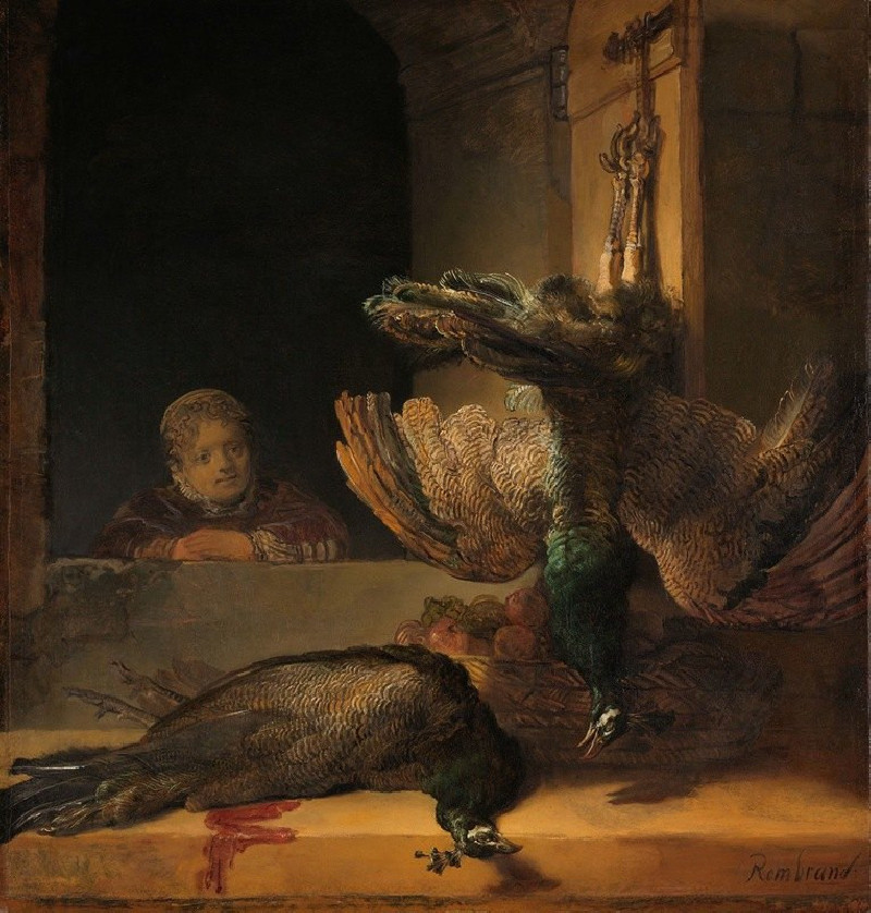 Still Life with Peacocks (c. 1639) reproduction of painting by Rembrandt van Rijn. Still-life