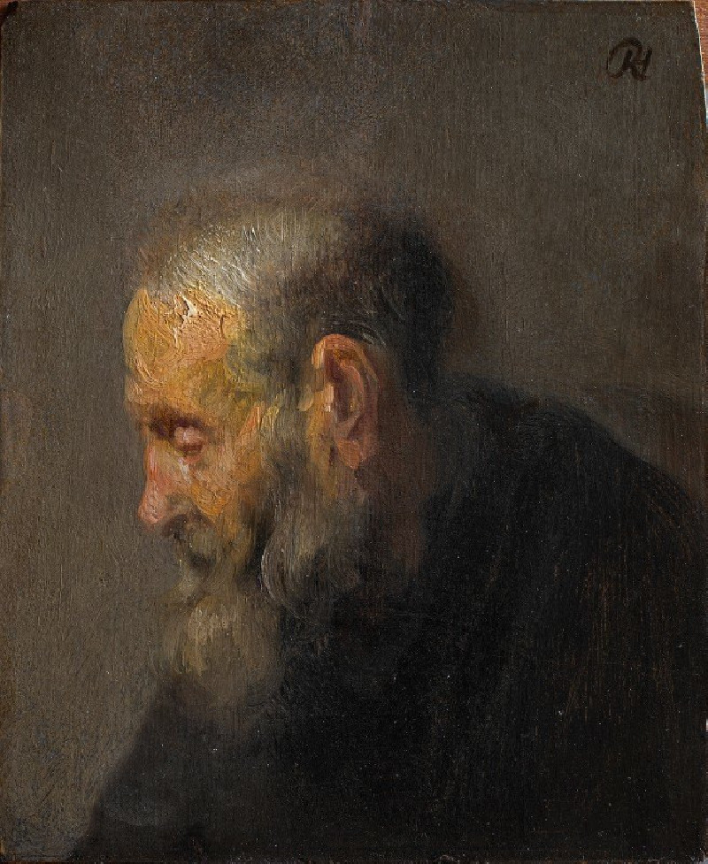 Study of an Old Man in Profile reproduction of painting by Rembrandt van Rijn. ALL GICLEE PRINTS