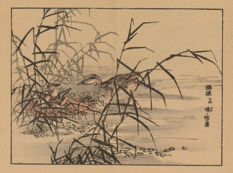 Bairei gafu, Pl.14 (1905) reproduction of painting by Kōno Bairei. ALL GICLEE PRINTS