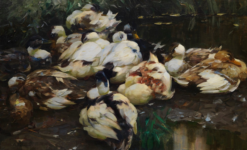 12 Enten im Wasser (1905) reproduction of painting by Alexander Koester. ALL GICLEE PRINTS