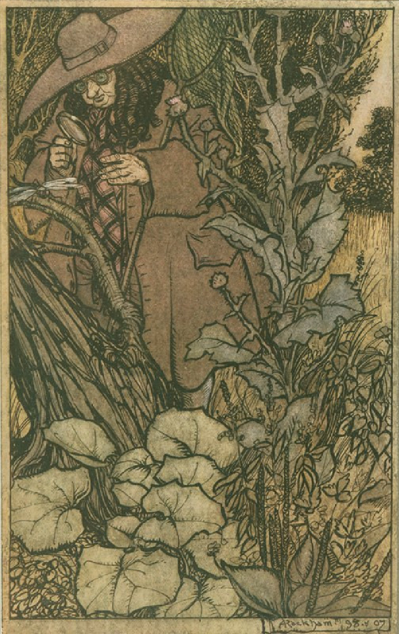 Sir Thomas, her Lord, was stout of limb. (1911) reproduction of painting by Arthur Rackham. ALL GICLEE PRINTS