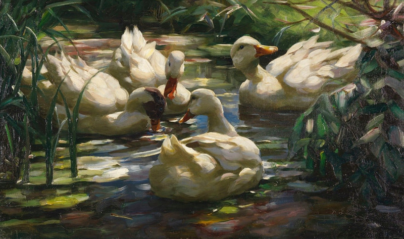 Enten auf dem Waldweiher (Ca. 1909-1913) reproduction of painting by Alexander Koester. ALL GICLEE PRINTS