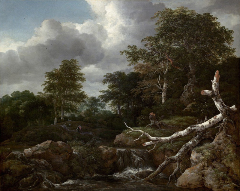 Forest Scene (c. 1655) reproduction of painting by Jacob van Ruisdael. ALL GICLEE PRINTS