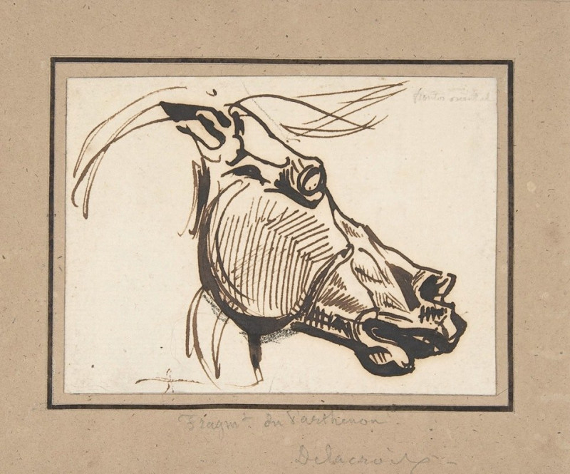 Head of a Horse, after the Parthenon (ca. 1825) reproduction of painting by Eugène Delacroix. ALL GICLEE PRINTS