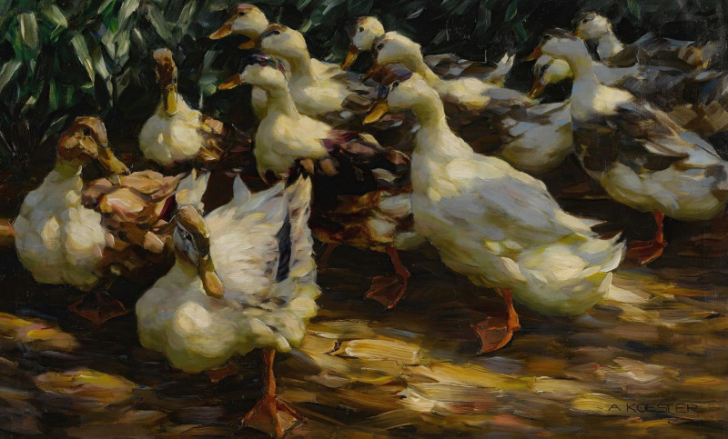 Ducks In Sunlight reproduction of painting by Alexander Koester. ALL GICLEE PRINTS