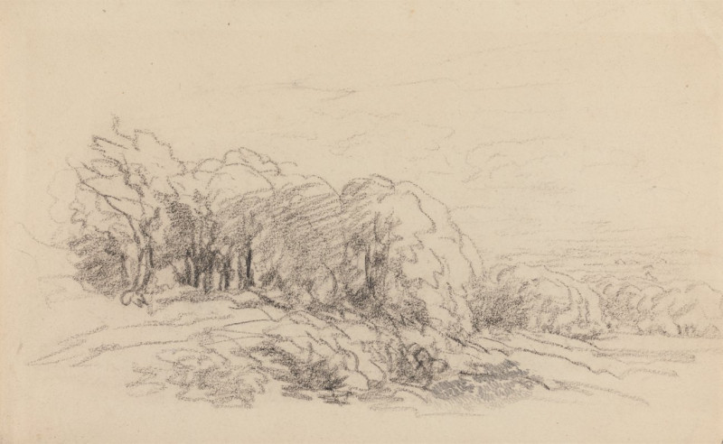 Landscape with Trees (1840s) reproduction of painting by David Cox. ALL GICLEE PRINTS