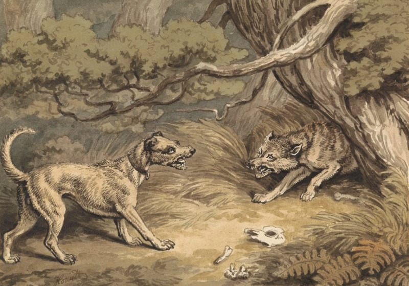 The Dog and the Wolf reproduction of painting by Samuel Howitt. ALL GICLEE PRINTS