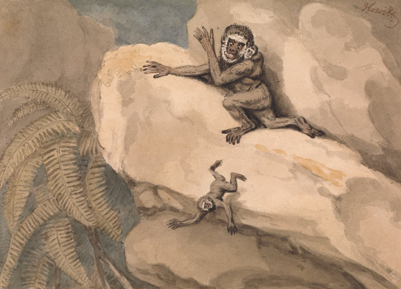 A Monkey and Young (after 1799) reproduction of painting by Samuel Howitt. ALL GICLEE PRINTS