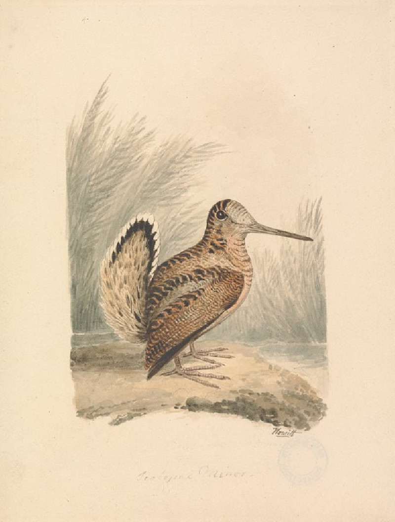 A Woodcock reproduction of painting by Samuel Howitt. ALL GICLEE PRINTS