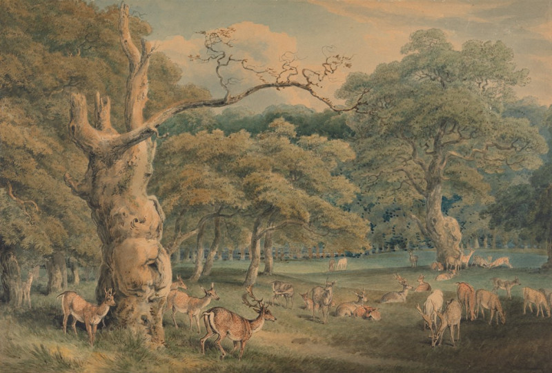 Hearne’s Oak, Windsor Forest reproduction of painting by Samuel Howitt. ALL GICLEE PRINTS