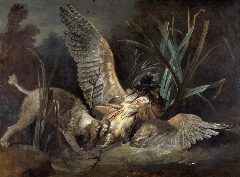 Spaniel Seizing a Bittern (1725) reproduction of painting by Jean-Baptiste Oudry. ALL GICLEE PRINTS