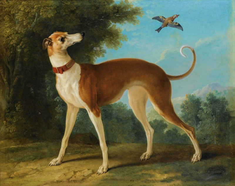 Greyhound In A Landscape (1746) reproduction of painting by Jean-Baptiste Oudry. ALL GICLEE PRINTS