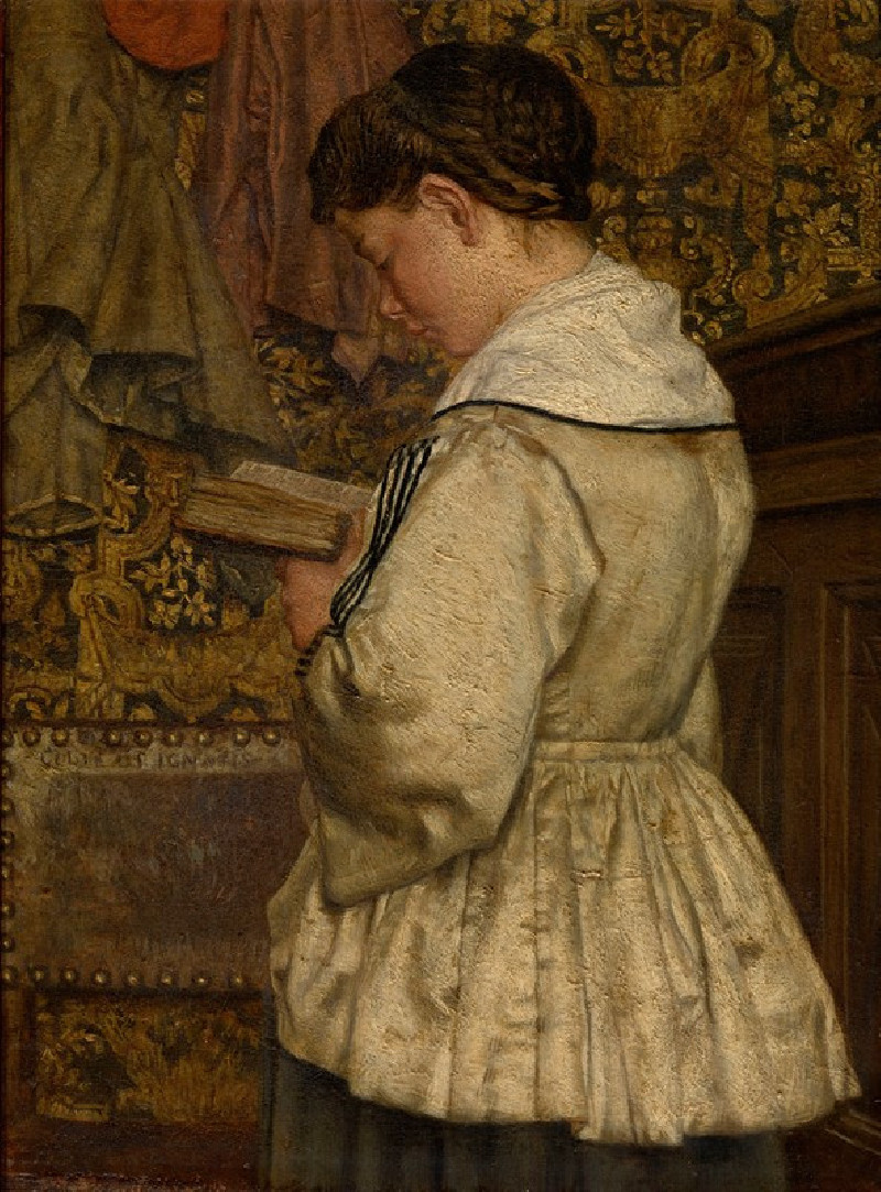 Woman Reading (1872) reproduction of painting by Henri de Braekeleer. ALL GICLEE PRINTS