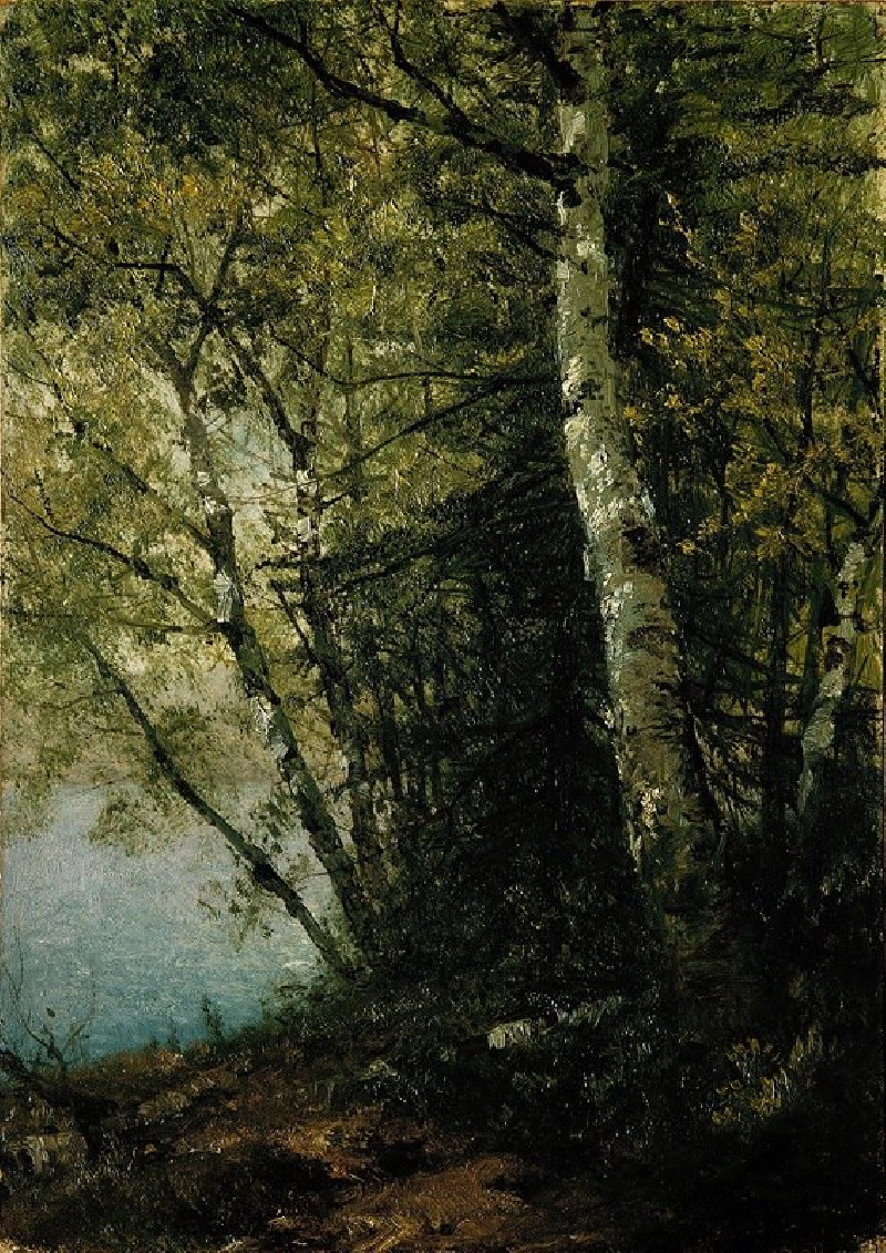 John Frederick Kensett reprodukcija Study of Beeches (1872), VISOS REPRODUKCIJOS , paveikslai, reprodukcijos internetu