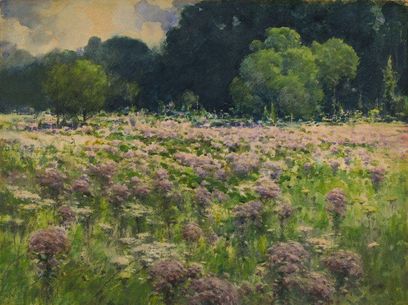 Field Of Joe Pie Weeds (Pride Of The Meadow) reproduction of painting by William Henry Holmes. ALL GICLEE PRINTS