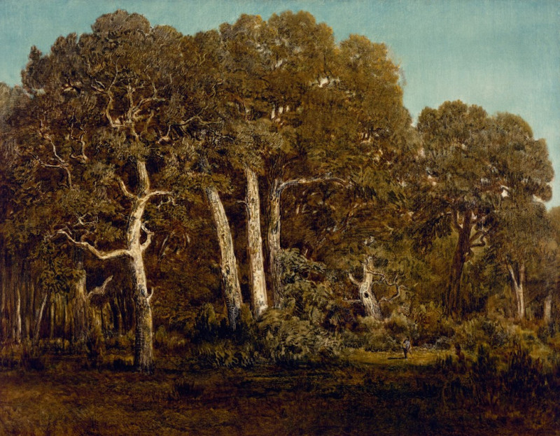 The Great Oaks of Old Bas-Bréau (1864) reproduction of painting by Théodore Rousseau. ALL GICLEE PRINTS