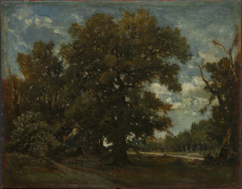 The Oak Tree (19th century) reproduction of painting by Théodore Rousseau. ALL GICLEE PRINTS