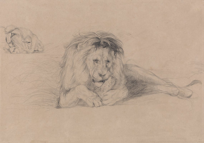 Study of a Lion and Study of a Lioness’ Head (1820) reproduction of painting by John Frederick Lewis. ALL GICLEE PRINTS