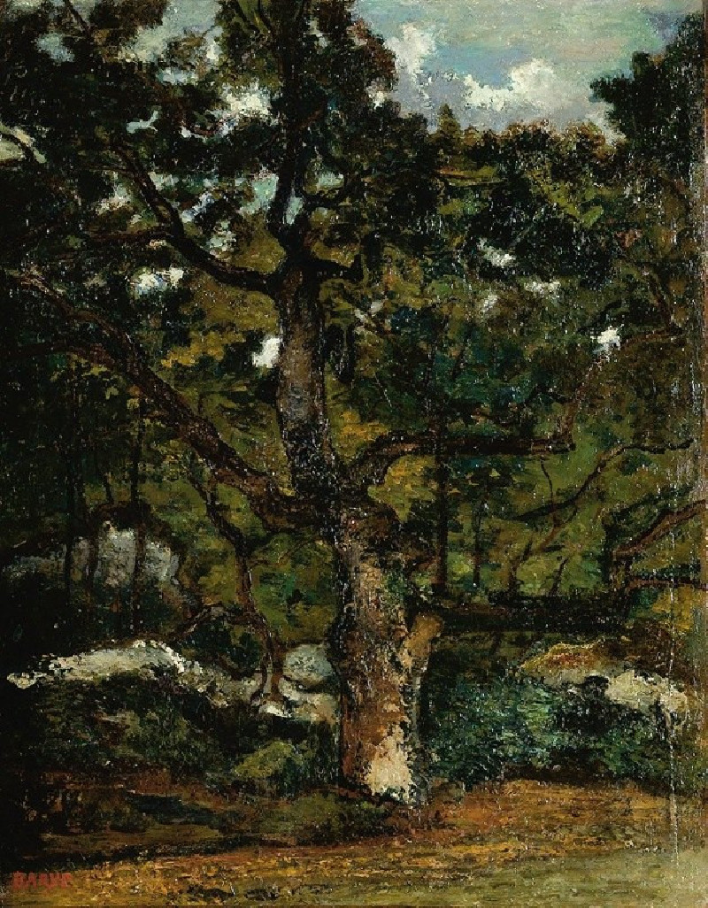 Antoine-Louis Barye reprodukcija View Of The Fontainebleau Forest, VISOS REPRODUKCIJOS , paveikslai, reprodukcijos internetu