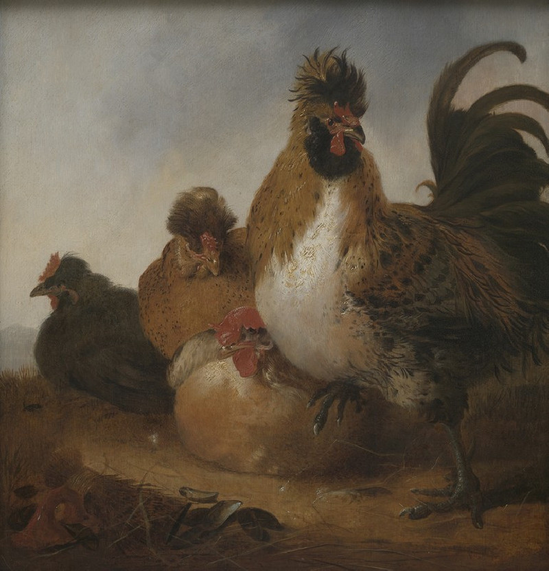 Rooster and Hens Object type (17th century) reproduction of painting by Aelbert Cuyp. ALL GICLEE PRINTS