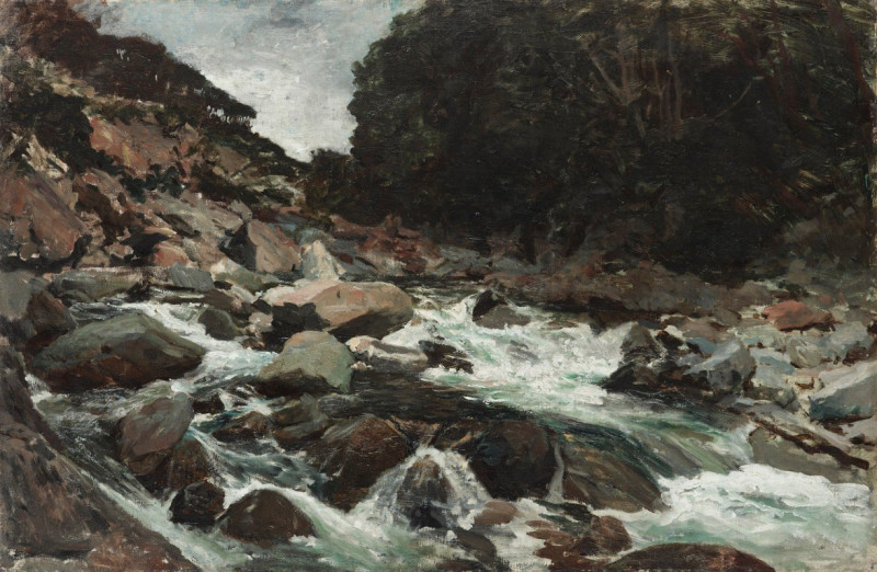 Petrus van der Velden reprodukcija Mountain Stream, Otira Gorge, VISOS REPRODUKCIJOS , paveikslai, reprodukcijos internetu