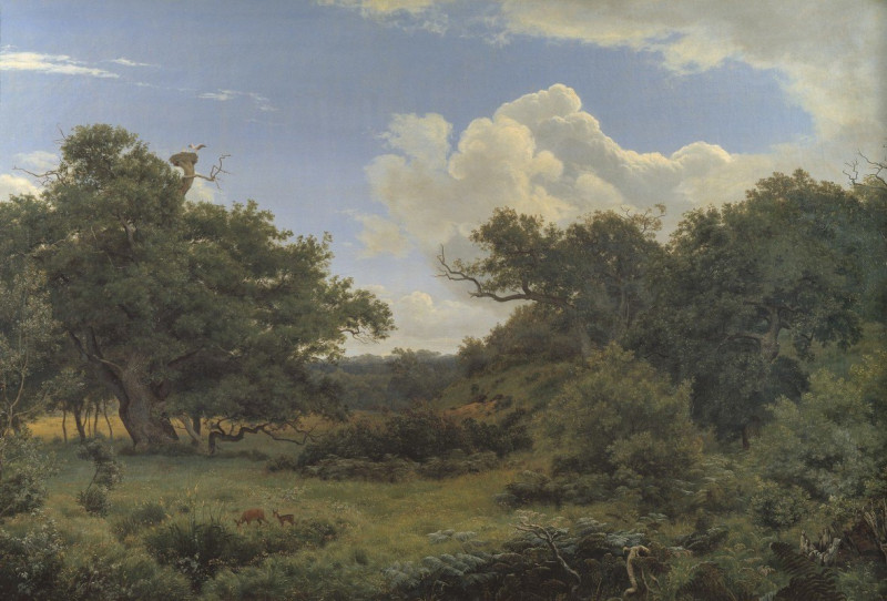 Oak Trees in Nordskoven near Jægerspris, Zealand (1842 - 1843) reproduction of painting by P. C. Skovgaard. ALL GICLEE PRINTS