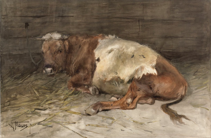 Liggende jonge stier (1848 - 1888) reproduction of painting by Anton Mauve. ALL GICLEE PRINTS