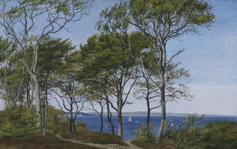 P. C. Skovgaard reprodukcija View Through Beech Trees Across a Fiord (1849 - 1859), VISOS REPRODUKCIJOS , paveikslai, reprodu...