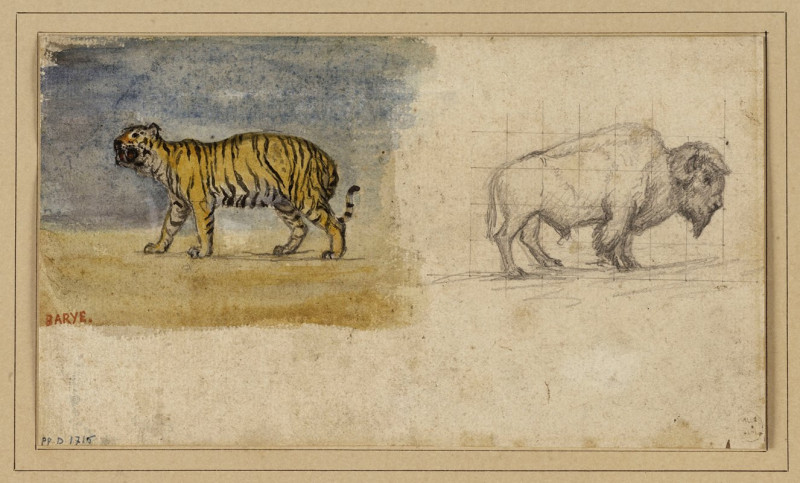 Antoine-Louis Barye reprodukcija Etude d’un tigre et d’un bison (19th century), VISOS REPRODUKCIJOS , paveikslai, reprodukcij...