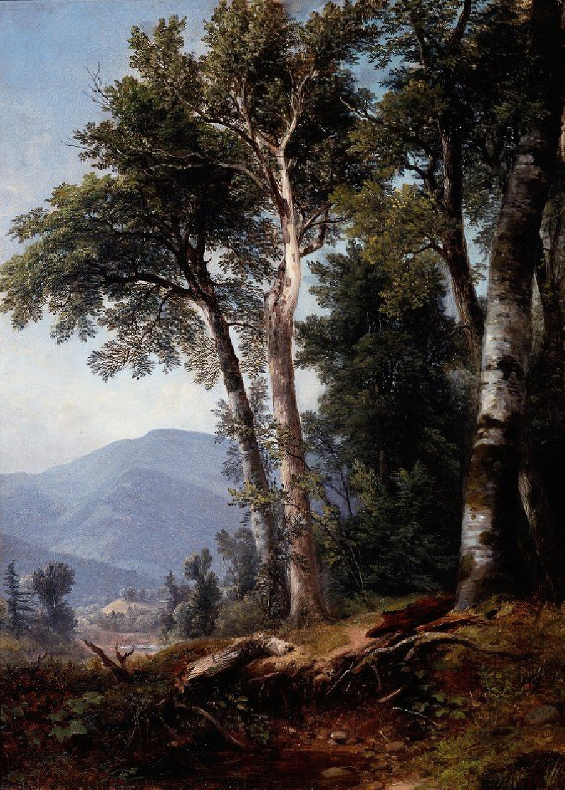 Asher Brown Durand reprodukcija Woodland Landscape (c.1850), VISOS REPRODUKCIJOS , paveikslai, reprodukcijos internetu