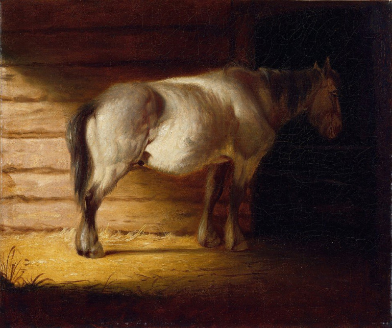 George Caleb Bingham reprodukcija Old Field Horse (1856), VISOS REPRODUKCIJOS , paveikslai, reprodukcijos internetu