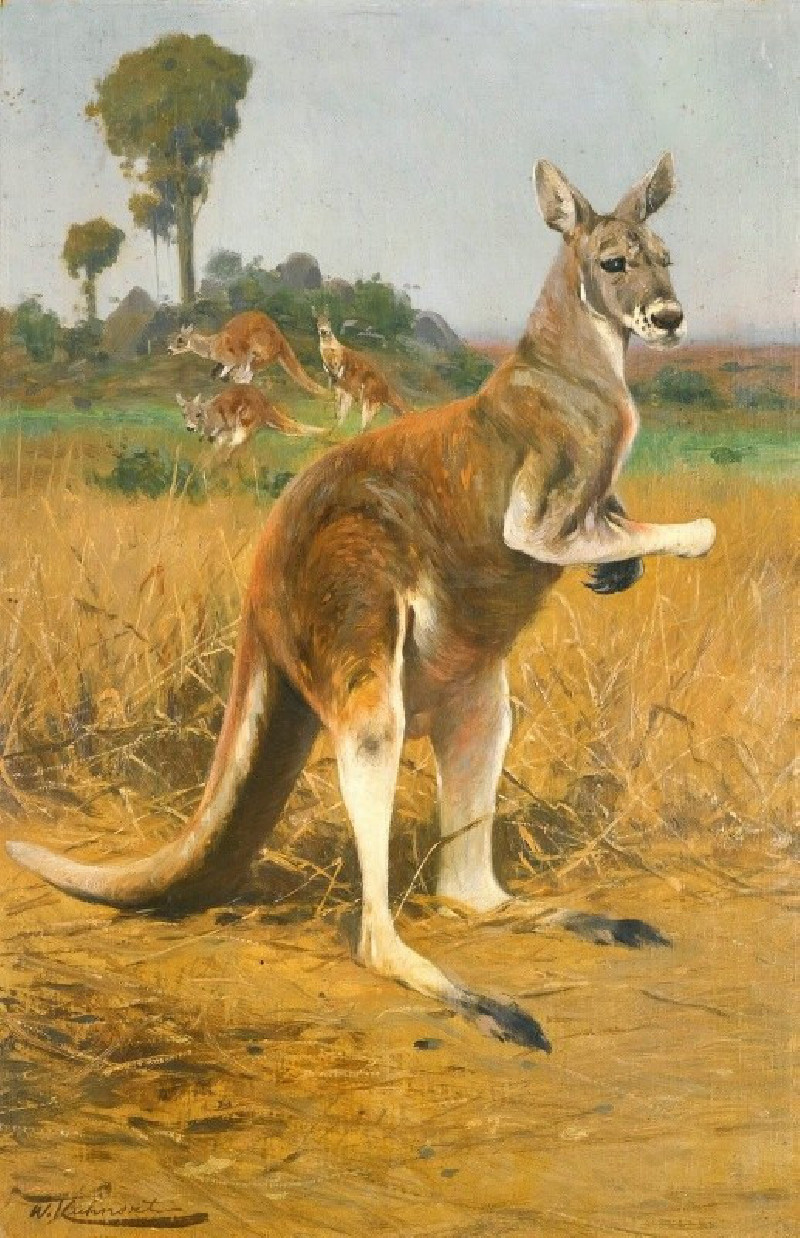 Red Kangaroos In The Outback reproduction of painting by Wilhelm Kuhnert. ALL GICLEE PRINTS