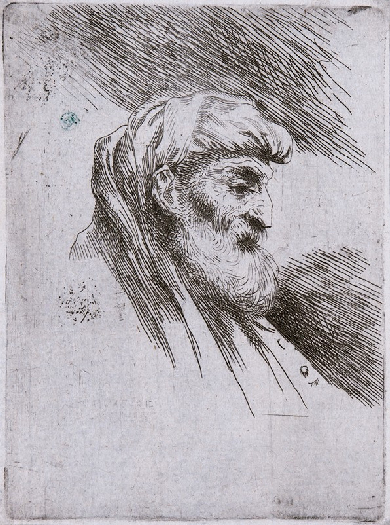 Old Bearded Man in Profile (circa 1645-1650) reproduction of painting by Giovanni Benedetto Castiglione. ALL GICLEE PRINTS