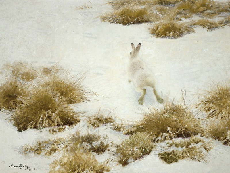 Bruno Liljefors reprodukcija Vinterhare Bland Tuvor (The Snow Hare) (1906), VISOS REPRODUKCIJOS , paveikslai, reprodukcijos i...