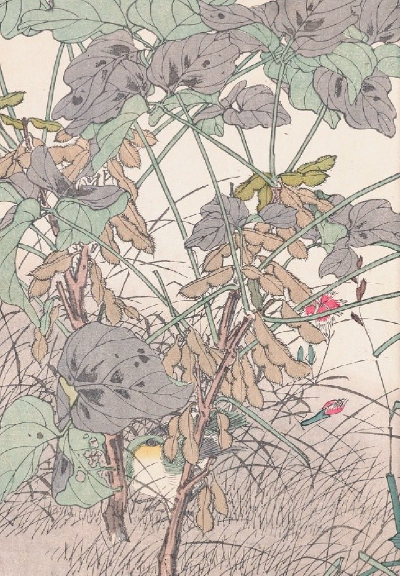 Keinen kachō gafu, Pl.33 (1891-1892) reproduction of painting by Imao Keinen. ALL GICLEE PRINTS