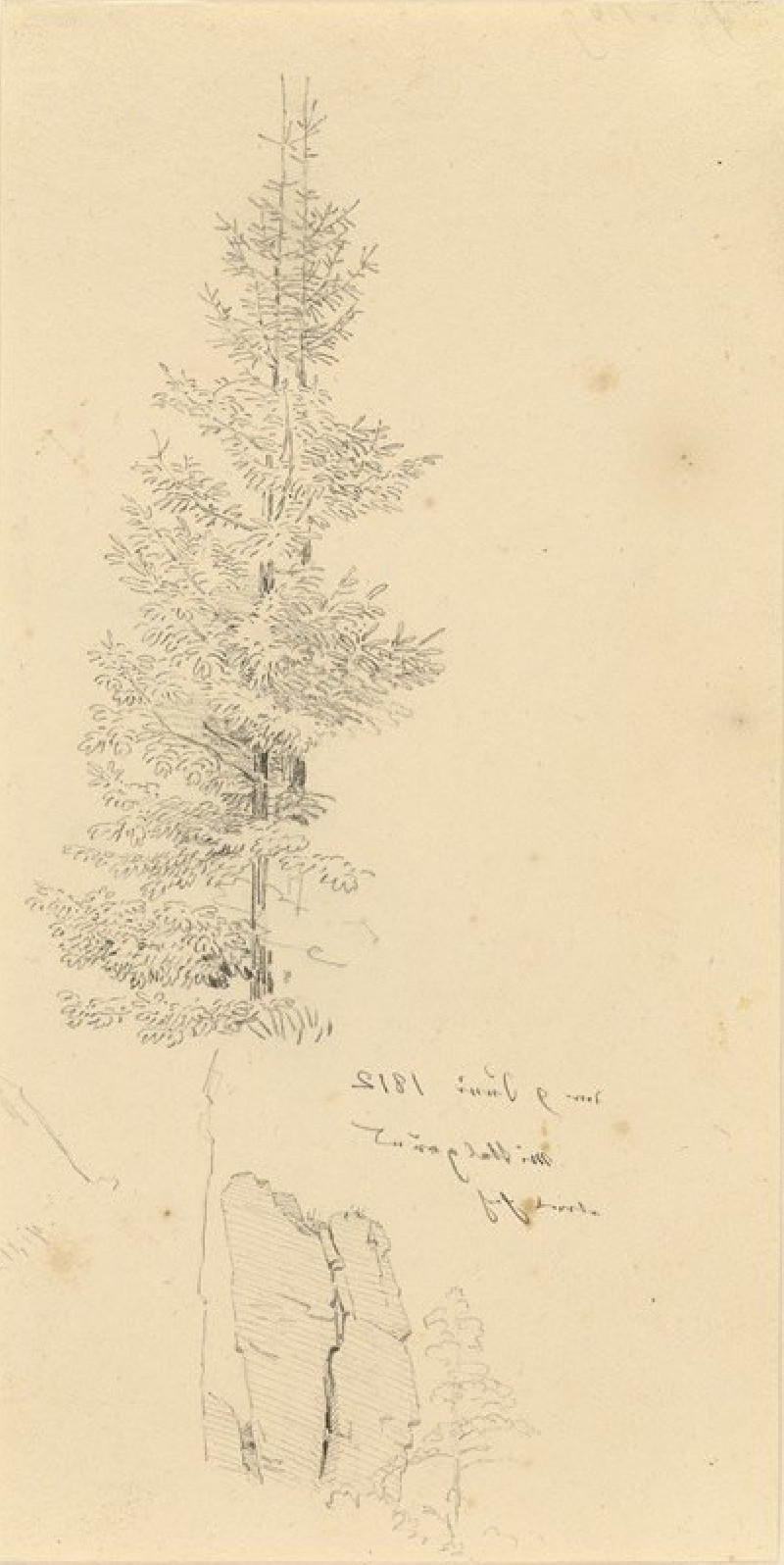 Caspar David Friedrich reprodukcija Study of Pine Trees and a Rock (1812), VISOS REPRODUKCIJOS , paveikslai, reprodukcijos in...