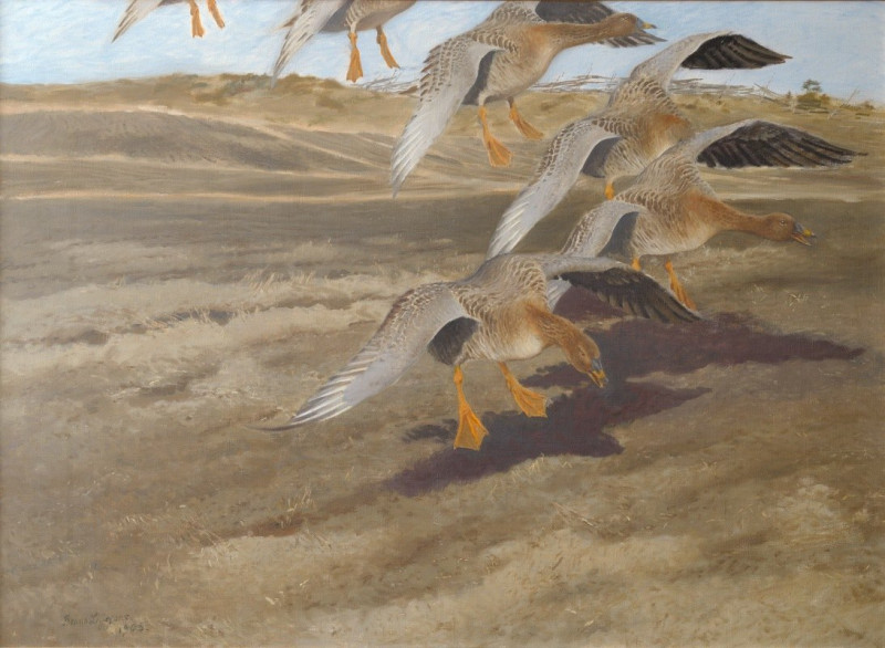 Wild Geese (1905) reproduction of painting by Bruno Liljefors. ALL GICLEE PRINTS