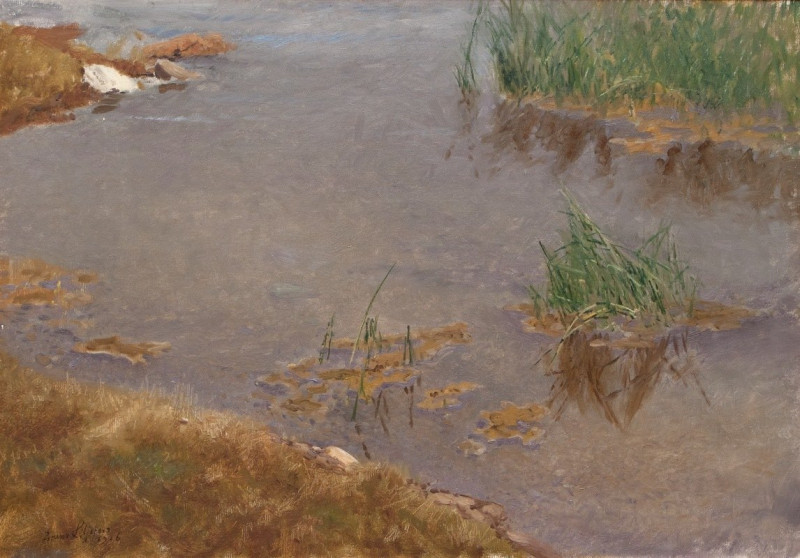 Shallow Water (1906) reproduction of painting by Bruno Liljefors. ALL GICLEE PRINTS