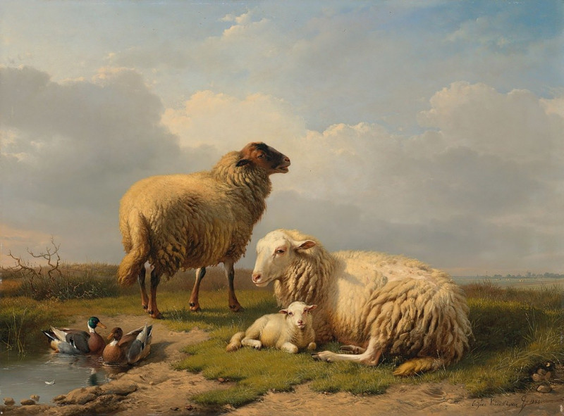 Eugène Joseph Verboeckhoven reprodukcija Sheep, Lamb and Ducks by a pond (1856), VISOS REPRODUKCIJOS , paveikslai, reprodukci...