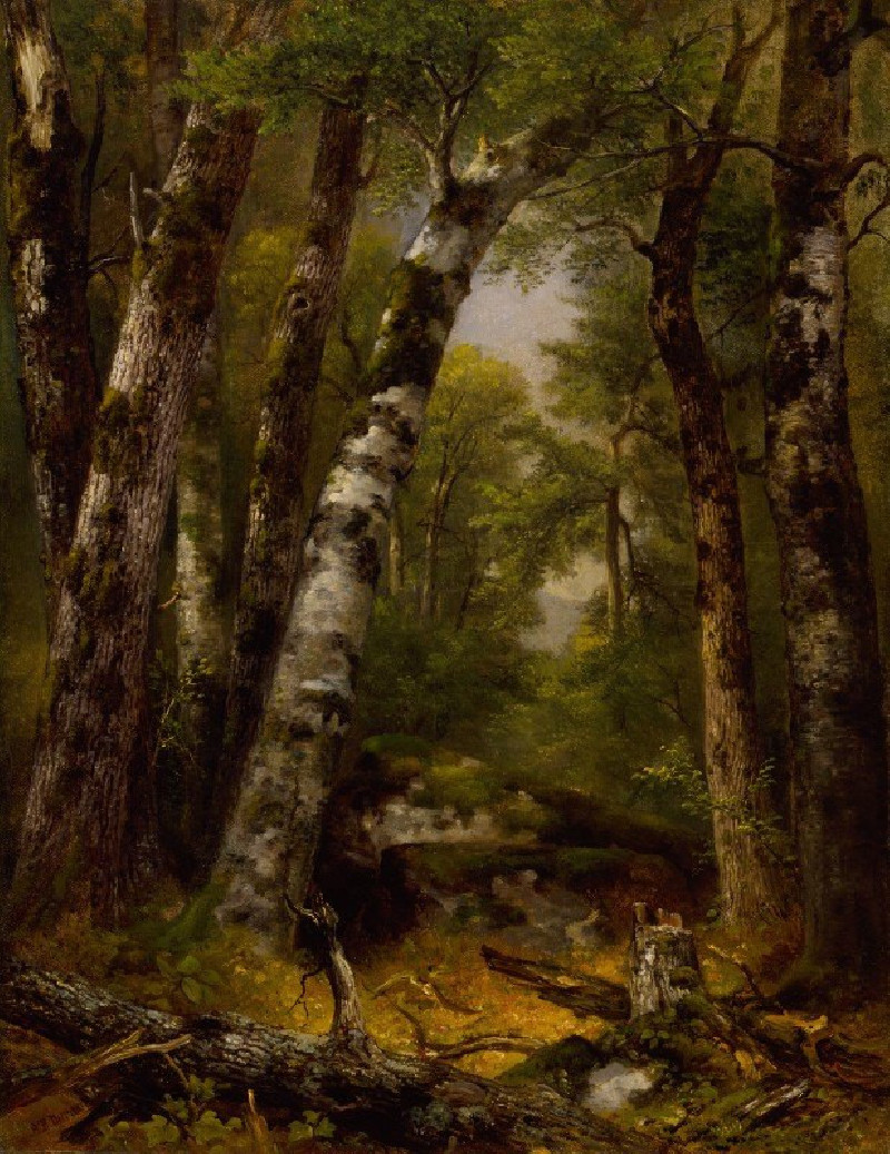 Woodland Glen (ca. 1850-1855) reproduction of painting by Asher Brown Durand. ALL GICLEE PRINTS