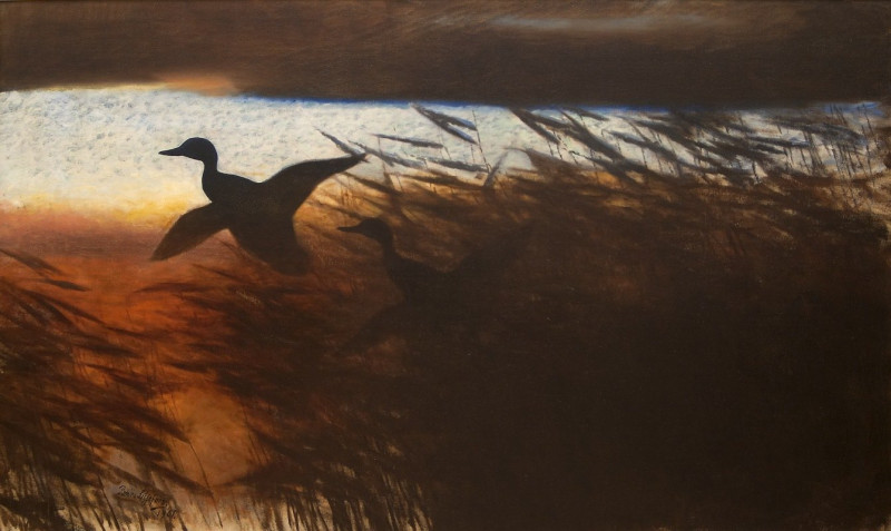 Summer Night Ducks Lifting off (1901) reproduction of painting by Bruno Liljefors. ALL GICLEE PRINTS