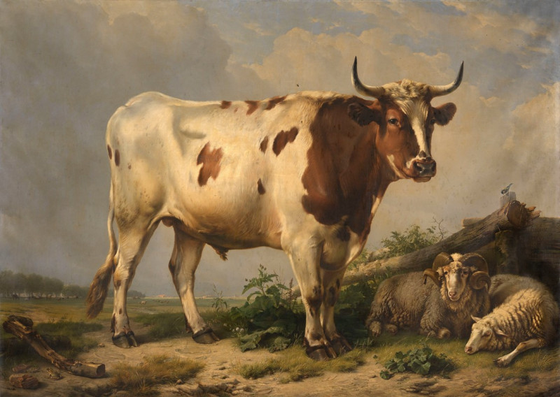 Bull (1847) reproduction of painting by Eugène Joseph Verboeckhoven. ALL GICLEE PRINTS