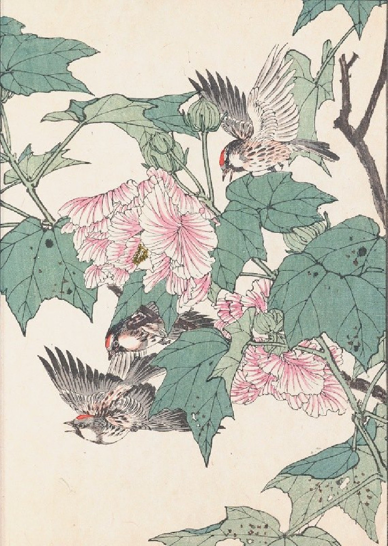 Keinen kachō gafu, Pl.30 (1891-1892) reproduction of painting by Imao Keinen. ALL GICLEE PRINTS