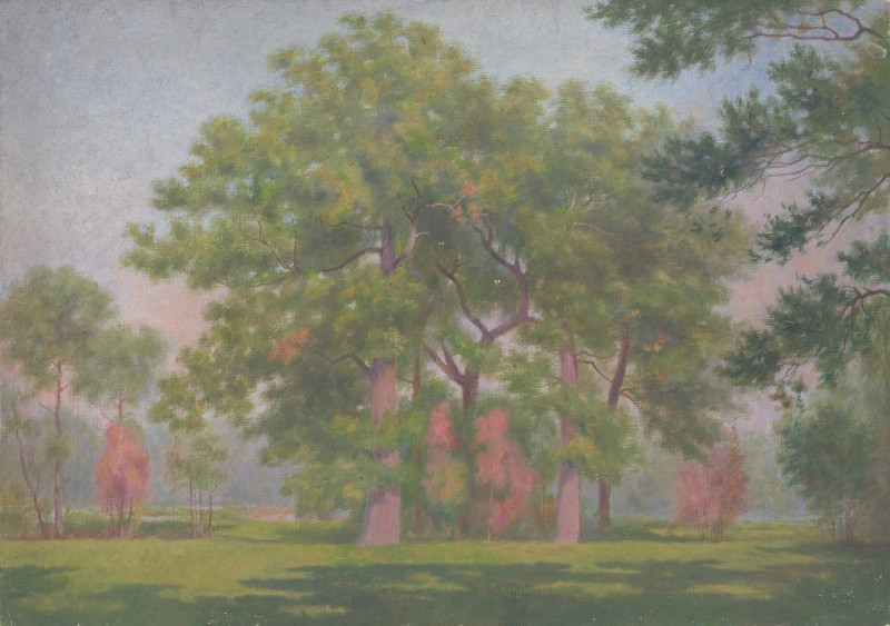 Landscape with Trees (1901–1925) reproduction of painting by Dezider Czölder. ALL GICLEE PRINTS