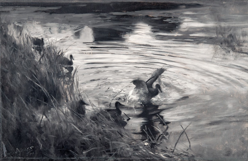 Wild Ducks among Reeds (1890) reproduction of painting by Bruno Liljefors. ALL GICLEE PRINTS