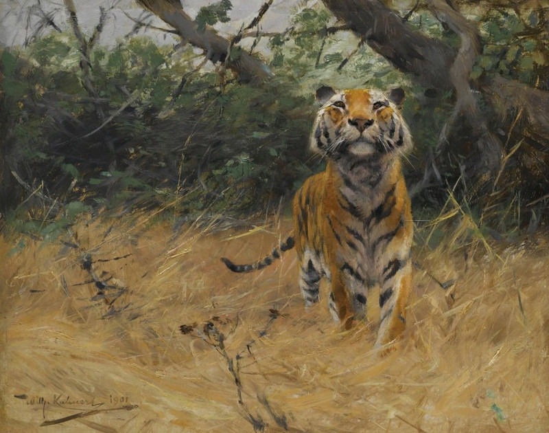 Tiger On The Watch (1901) reproduction of painting by Wilhelm Kuhnert. ALL GICLEE PRINTS