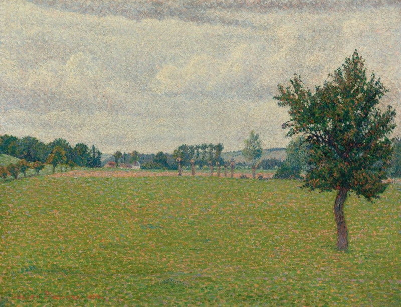 Prairie De Thierceville (1888) reproduction of painting by Lucien Pissarro. ALL GICLEE PRINTS